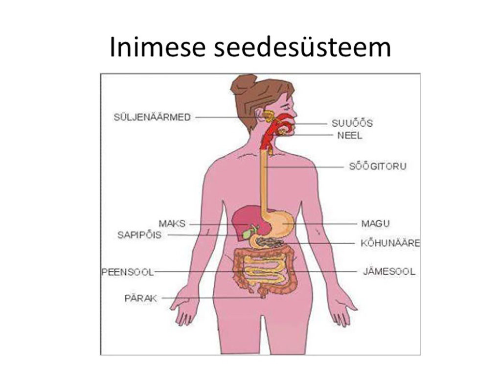 Soomes on plahvatuslikult kasvanud haigestumine põletikulistesse soolehaigustesse