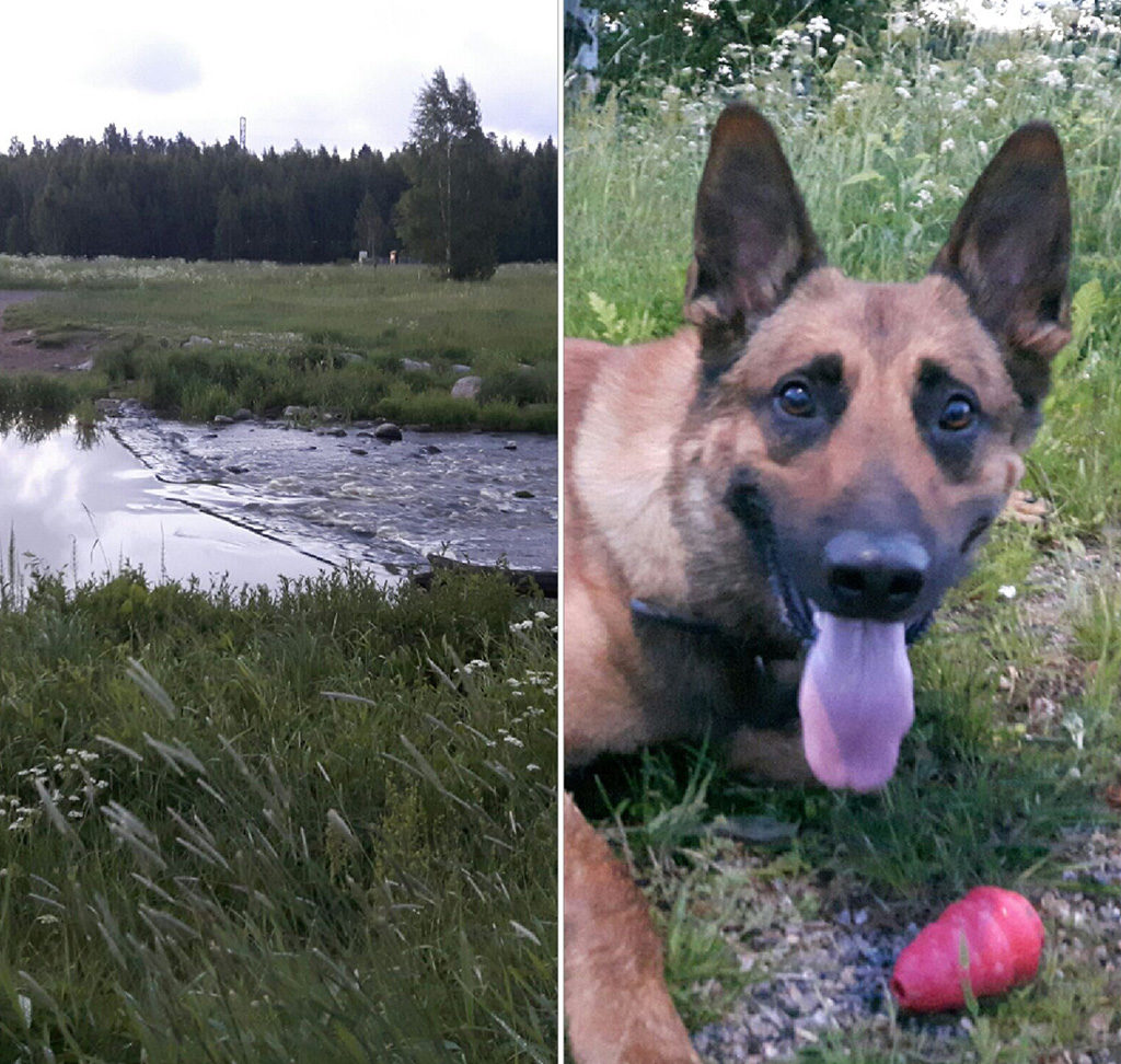 Politseikoer sai Keraval kätte korterivargad