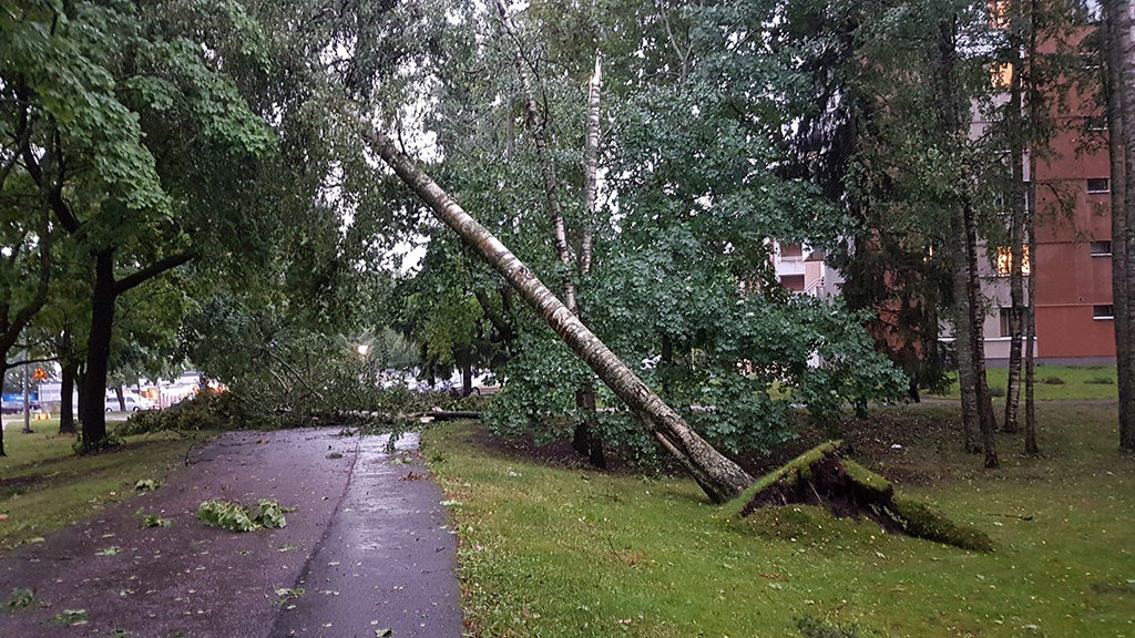 Tormikahjusid likvideeritakse Helsingis terve käesoleva nädala jooksul