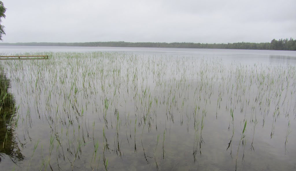 Poola kalamehed kadusid Soomes ära, leiti hiljem üles