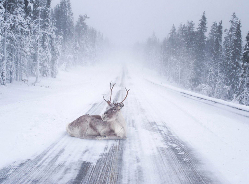 Lapimaal tõuseb täna esimest korda päike