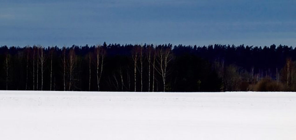 ARVAMUS: Eestile tegi karuteene valitsuse vahetus