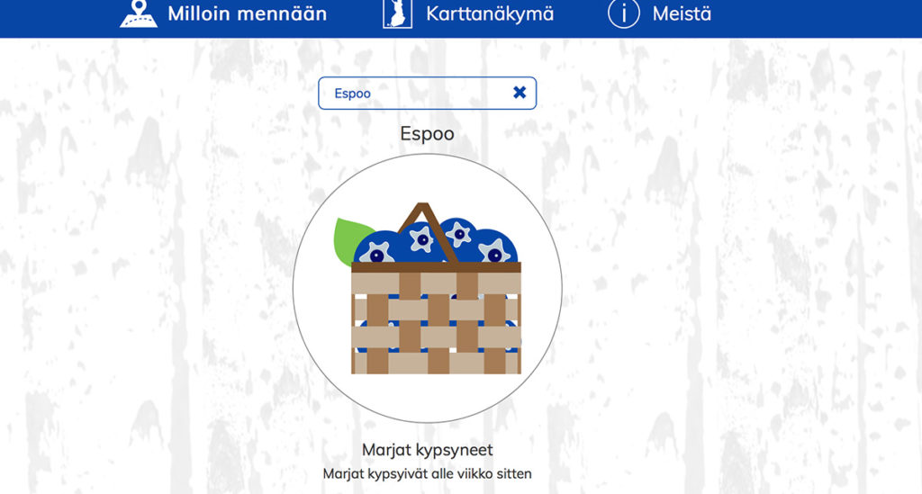 Millal ja kuhu minna Soomes mustikale? Abiks on mustikaveebid