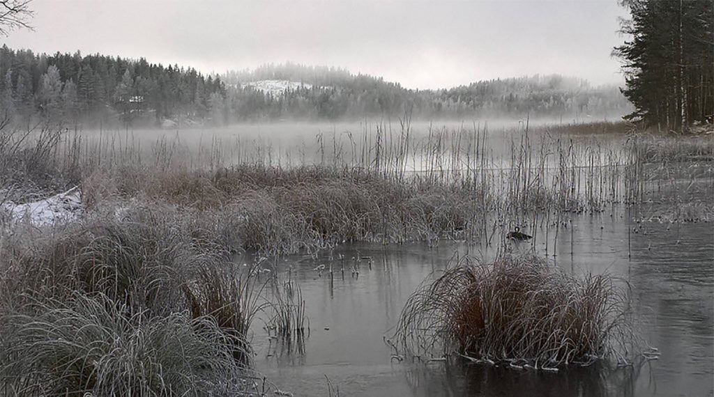 Brrr… Nüüd läheb Soomes külmaks – tulevad öökülmad ja päeval alla 10 kraadi pea kogu maal