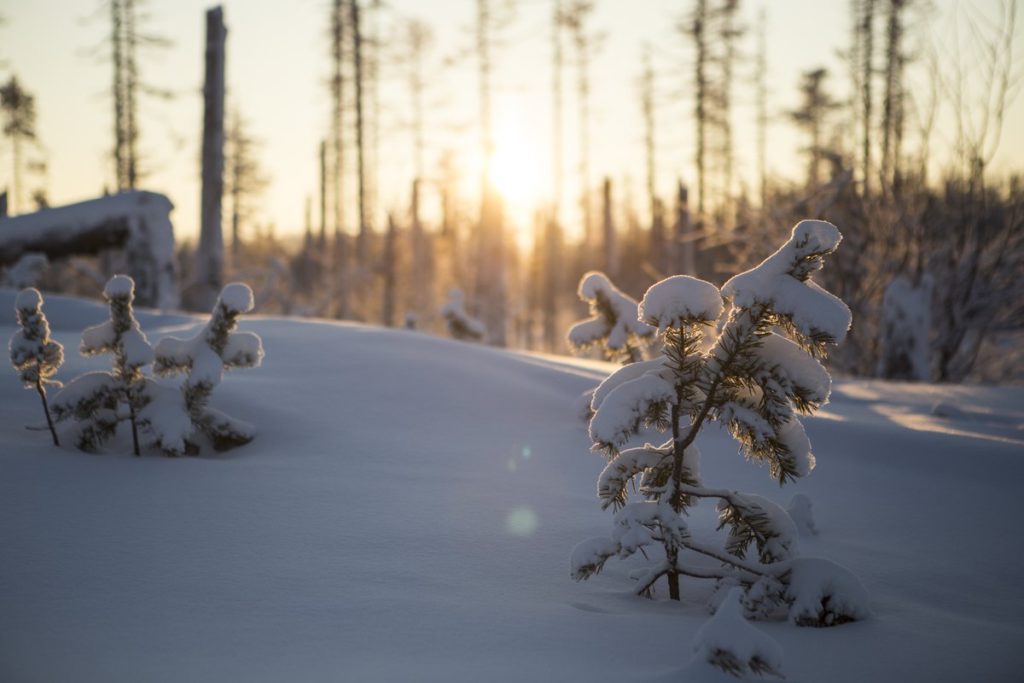 Soomes prognoositakse keskmisest soojemat talve