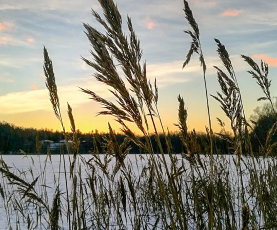 Soome tuleb talv tagasi: kohati praegu veel 60 cm lund ja sajab juurde