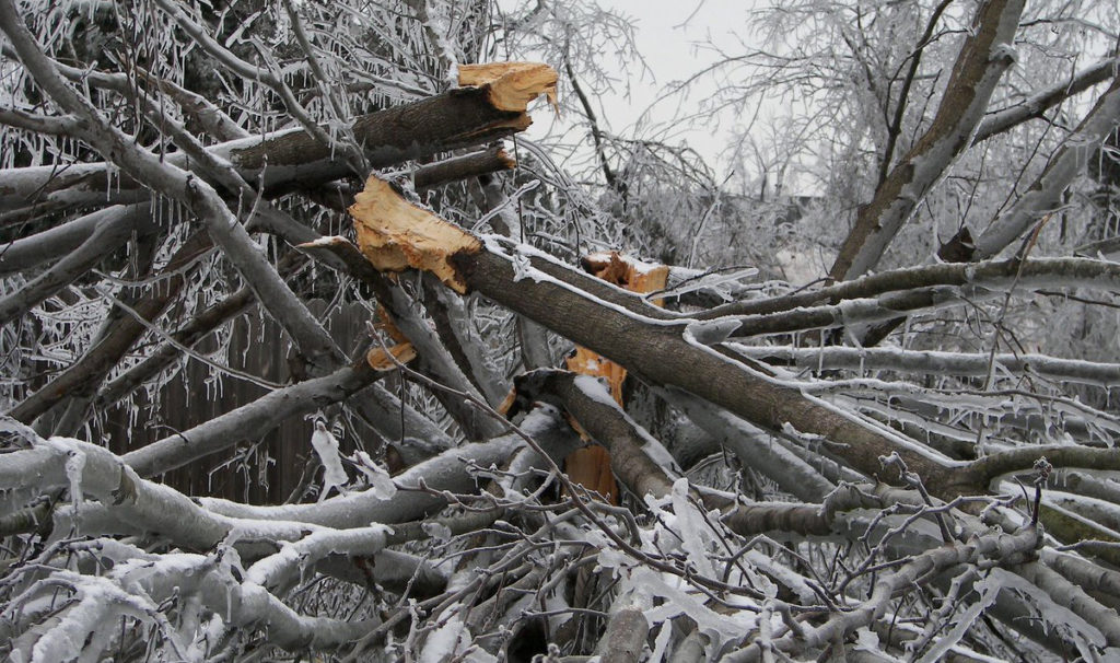 Torm Aapeli nõudis Soomes esimese ohvri