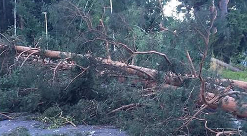 Öösel tabab Soomet torm, võib esineda elektrikatkestusi