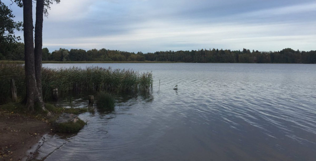 Espoo Lippajärvi ääres juba teine juhtum, kus laps sai õngekonksuga vigastada