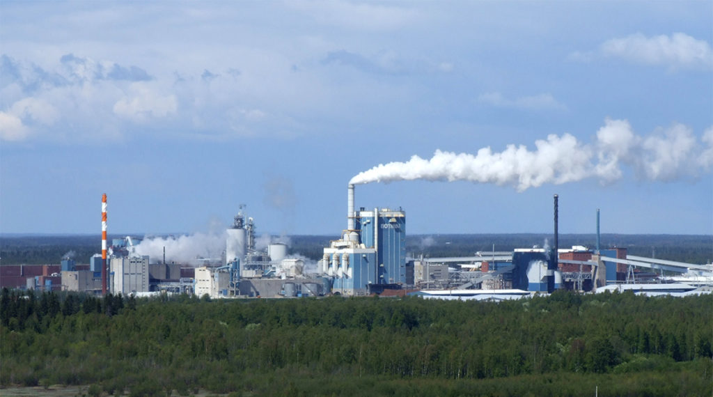 Soome puidufirma Metsä Board tulu vähenes ja aktsia hind kukkus – Hiinast alguse saanud tselluloosi hinnalangus on jõudnud Euroopasse