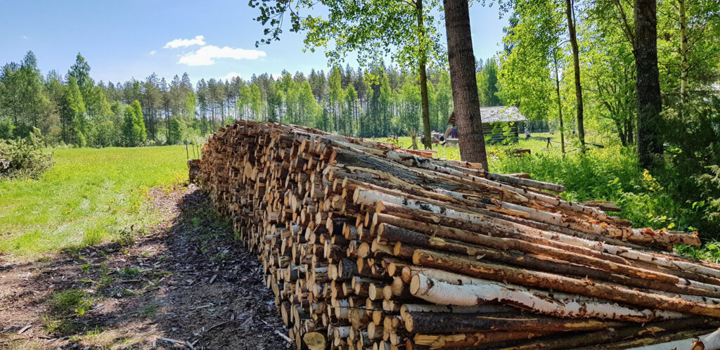 Hea teada: nii palju saab Soomes soodustust oma metsatukka sõitmise eest