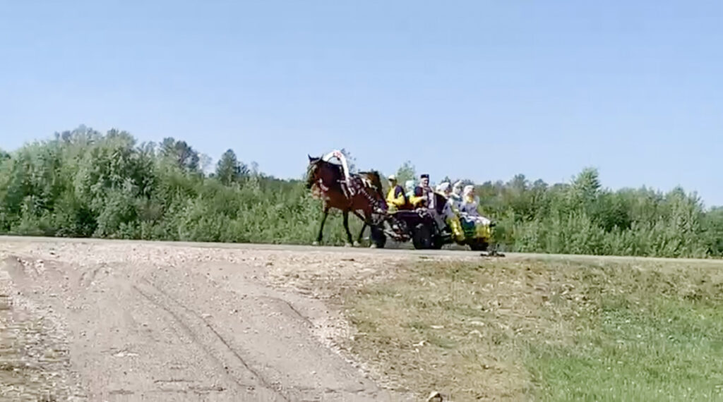 Õnnetu juhus: auto sõitis hobuvankrile otsa (lisatud video, nõrganärvilistele mittesoovitav)