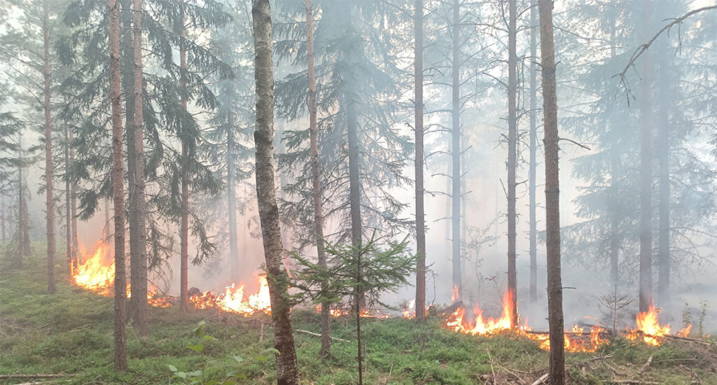 Rootsis kardetakse uut katastroofisuve