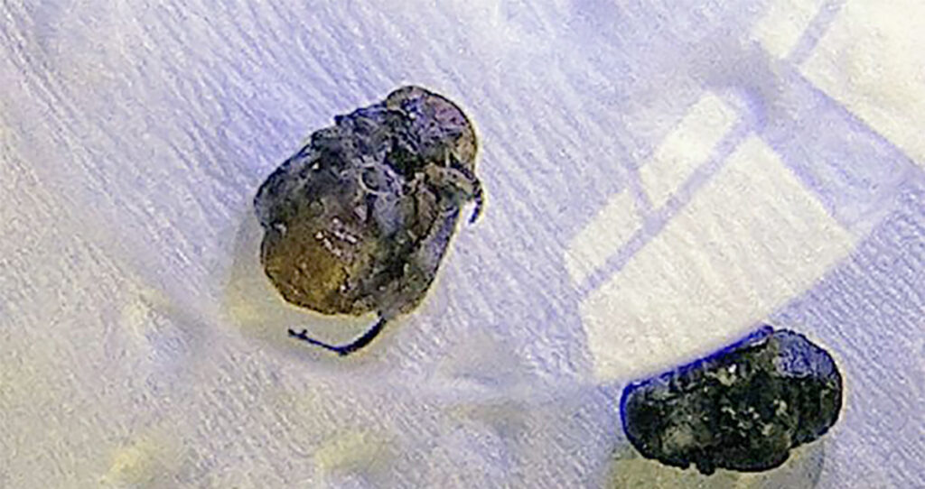 Soome tootja purgisupi seest on leitud mardikaid