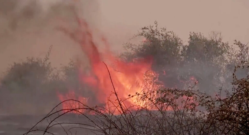 Portugalis hukkus tule eest põgenenud abielupaar