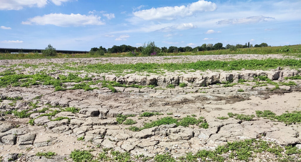 Kole lugu: Euroopas prognoositakse suurt kuivust, tulemas veesõda