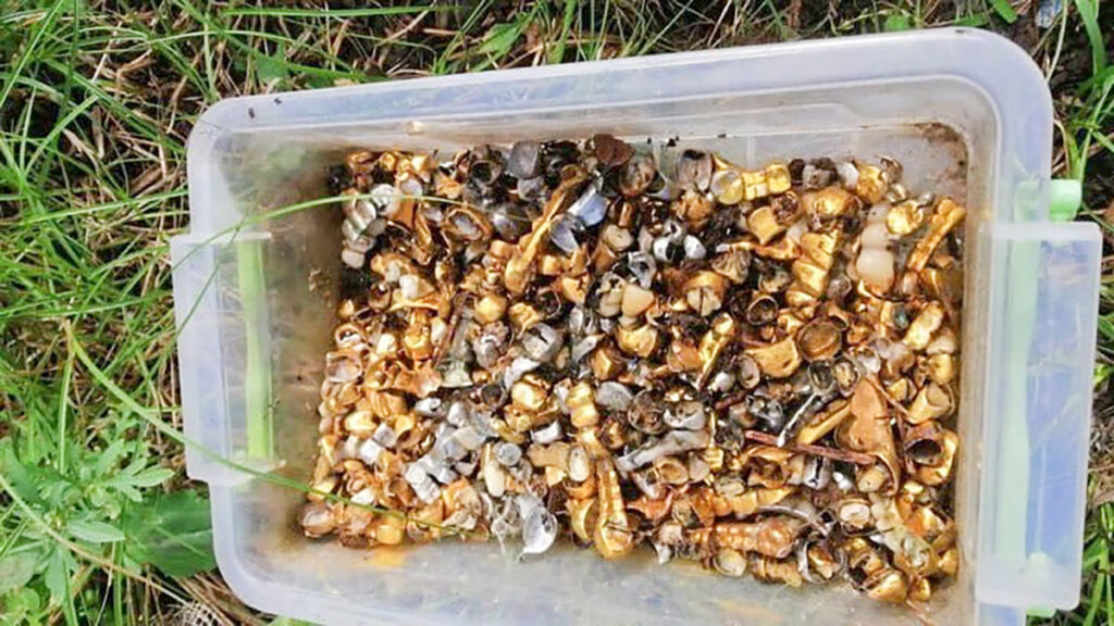 Saksa väljaanne: Ukraina propagandas kasutatud kuldhambad kuulusid tegelikult kohalikule hambaarstile