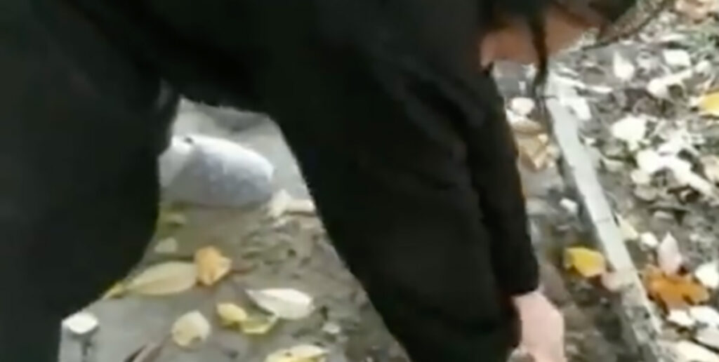 VIDEO: äsja vabenenud Ukraina linnas kaevati maa seest välja Ukraina lipp