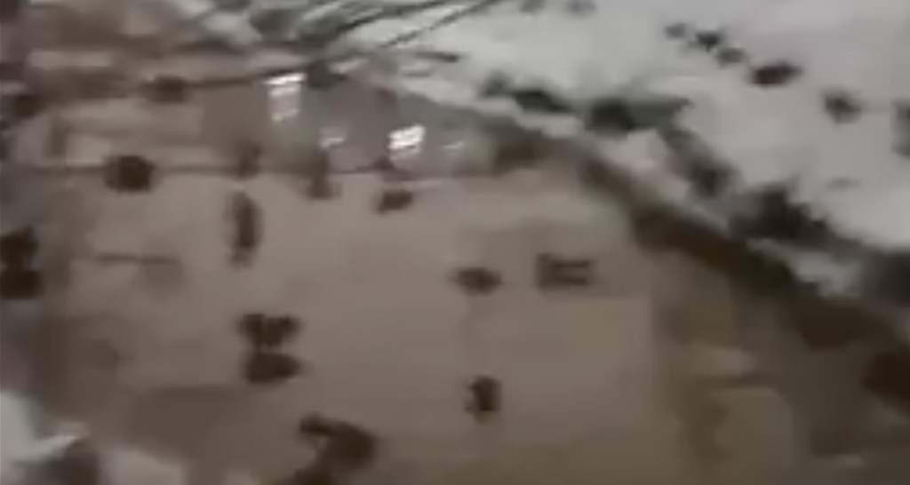 VIDEO: Peterburis algas rottide ülestõus