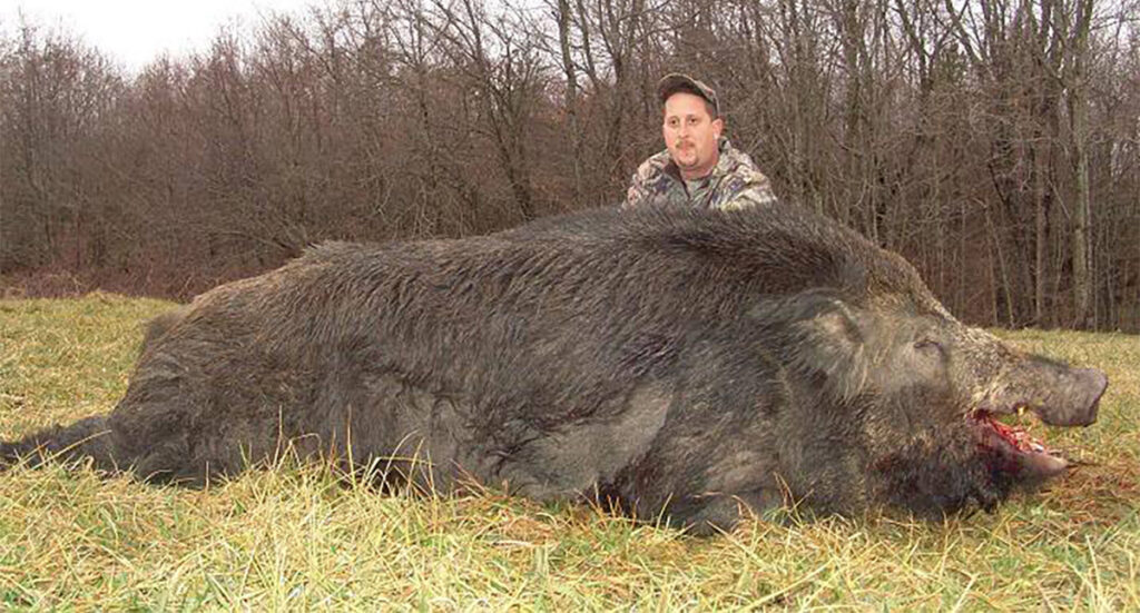 Ameerikat ohustavad mutant-sead, kes on hiigelsuured, väga nutikad ja suudavad inimesi vältida