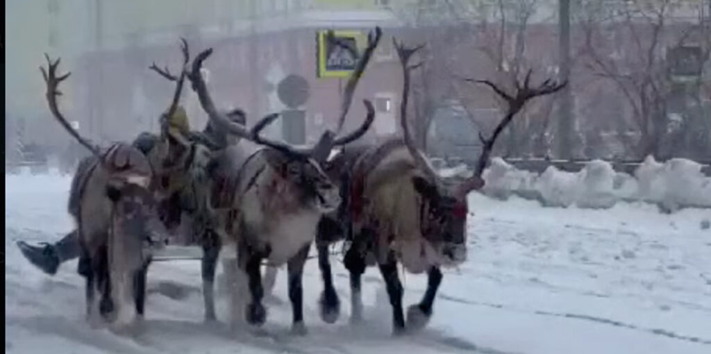 VIDEO: Venemaa tahtis ära külmutada Euroopa, aga külmus ise ära