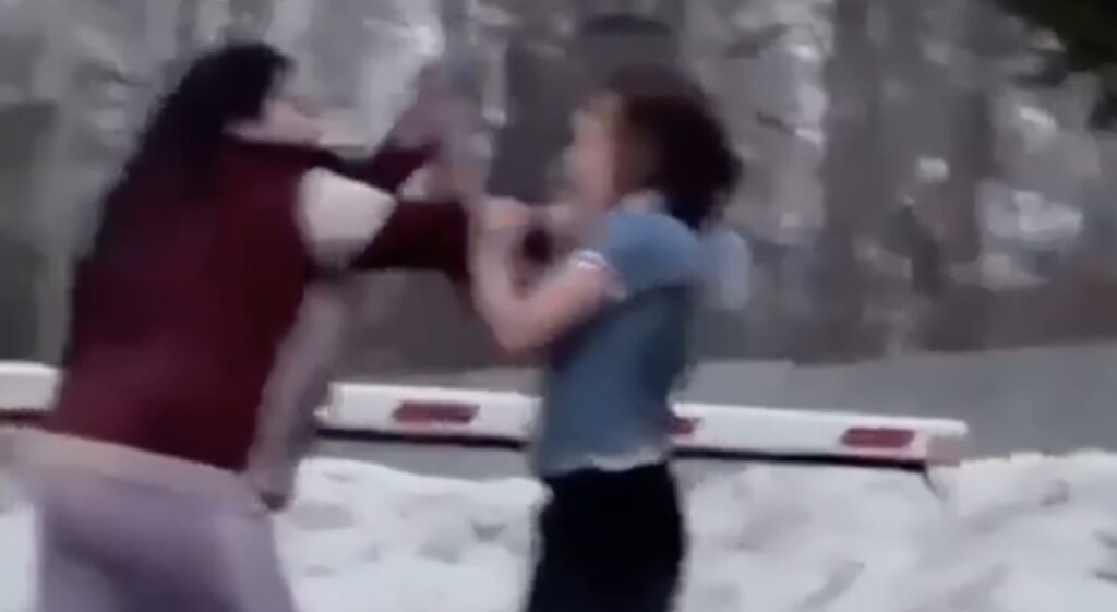 VIDEO: üks vene naine lõi teise nokauti (NB! Nõrganärvilistele mittesoovitav)