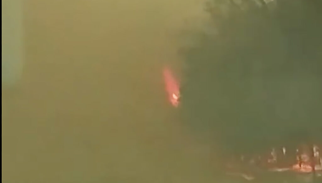 Kanada metsatulekahjude suits jõuab Euroopasse