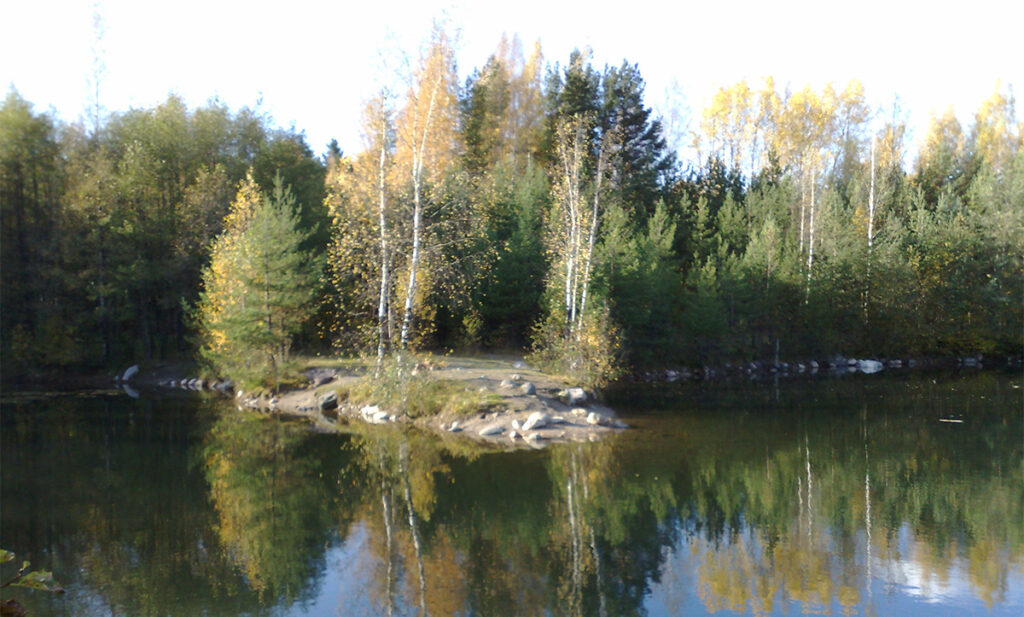 Soomes uppus 10-aastane poiss – kuidas see juhtus?