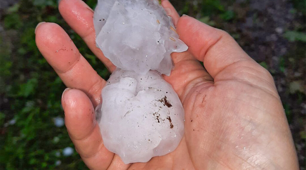 Hiidrahe jõudis Eestisse