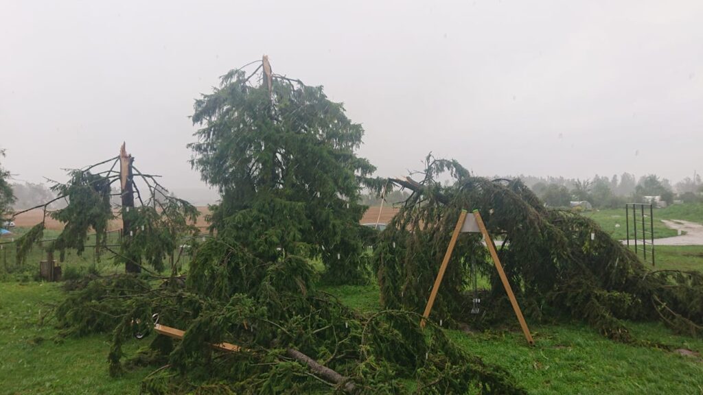 Jube, mis toimub Lätis: siin pilt Lätist kella 12-13 ajal