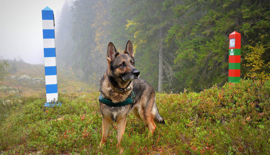 Soomes oli ebaseaduslik piiriületus Venemaalt