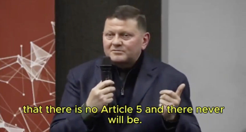 Ukraina endine armeejuht: mingit NATO 5. artiklit pole tegelikult olemas ja ka ei tule