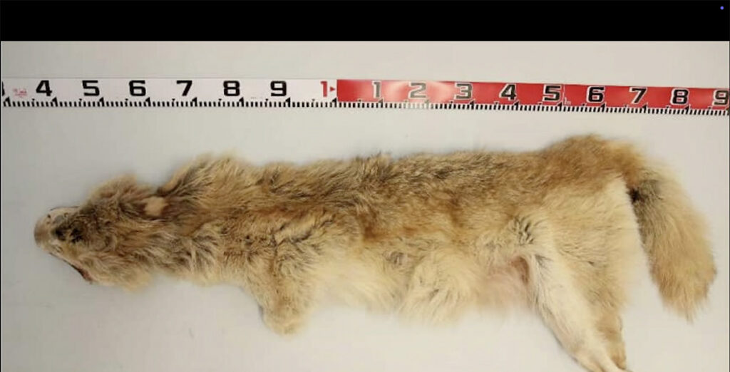 Soome suurimas jahikuriteos said karistuse 26 inimest