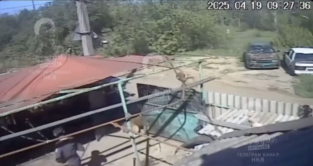 VIDEO: koer päästis Ukrainas peremehe sõtta värbamisest