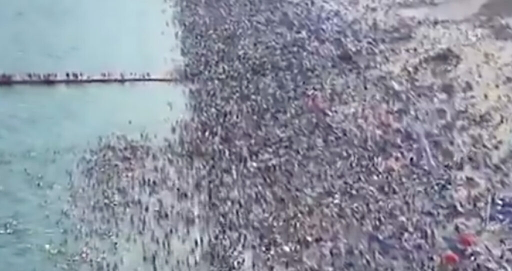 VIDEO: Hiina rand maipühade ajal