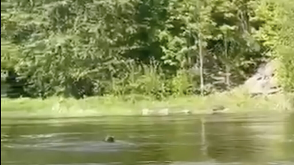 Kummimadratsiga Narva jõge ületada üritanud poolakas tahtis liituda Wagneri armeega