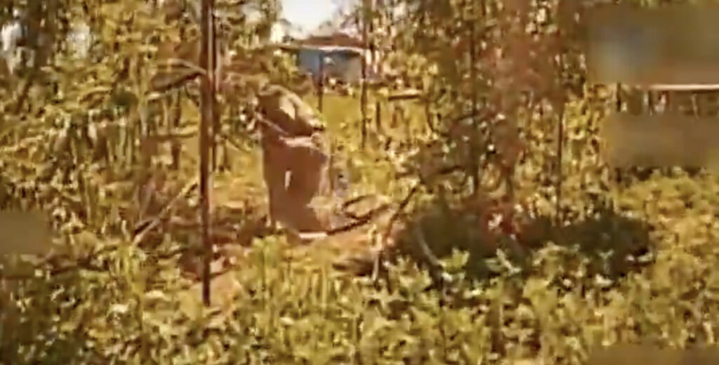 VIDEO: Vene okupant üritas Ukraina drooni eest põgeneda