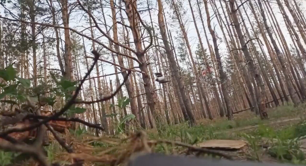 VIDEO: fiiberoptikaga drooni on kerge alla tuua …