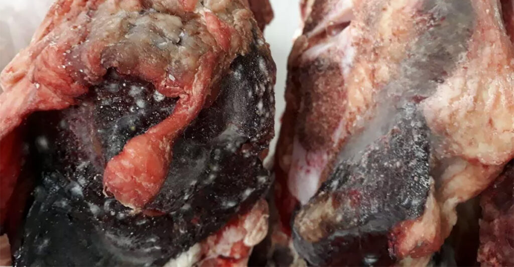 Liha oli hallitanud, kebab vedeles põrandal ja nõusid pesti WC-ainega – selline oli reaalsus Soome poodides