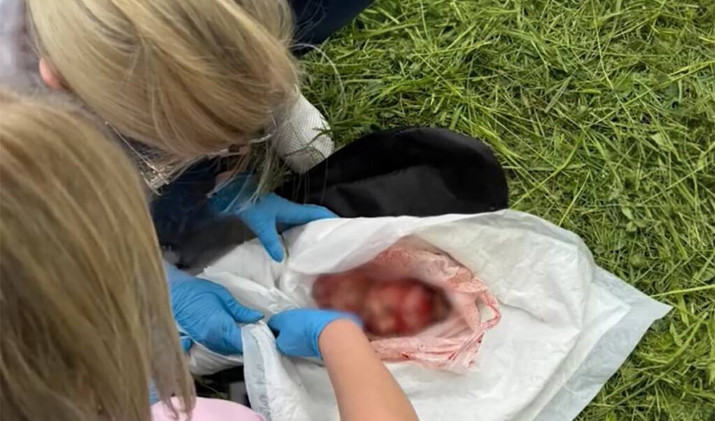 VIDEO: Venemaal visati vastsündinu aknast alla ja ta jäi imekombel ellu