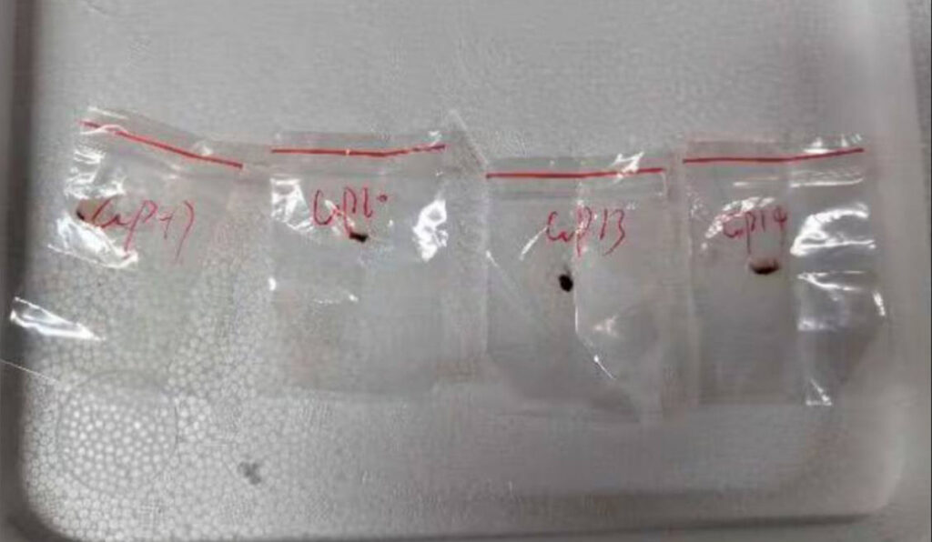 Hiina kodanikke süüdistatakse ohtlike patogeenide smugeldamises USA-sse