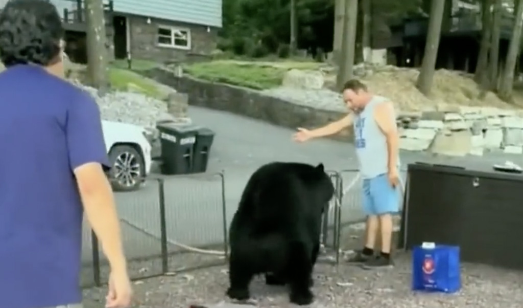 VIDEO: USA-s kamandas peremees karu väravast välja ja karu kuuletus