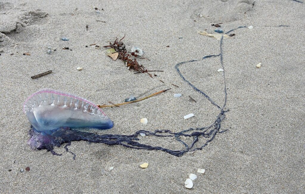 Hoiatus Hispaania randades valitseb eluohtlik olukord