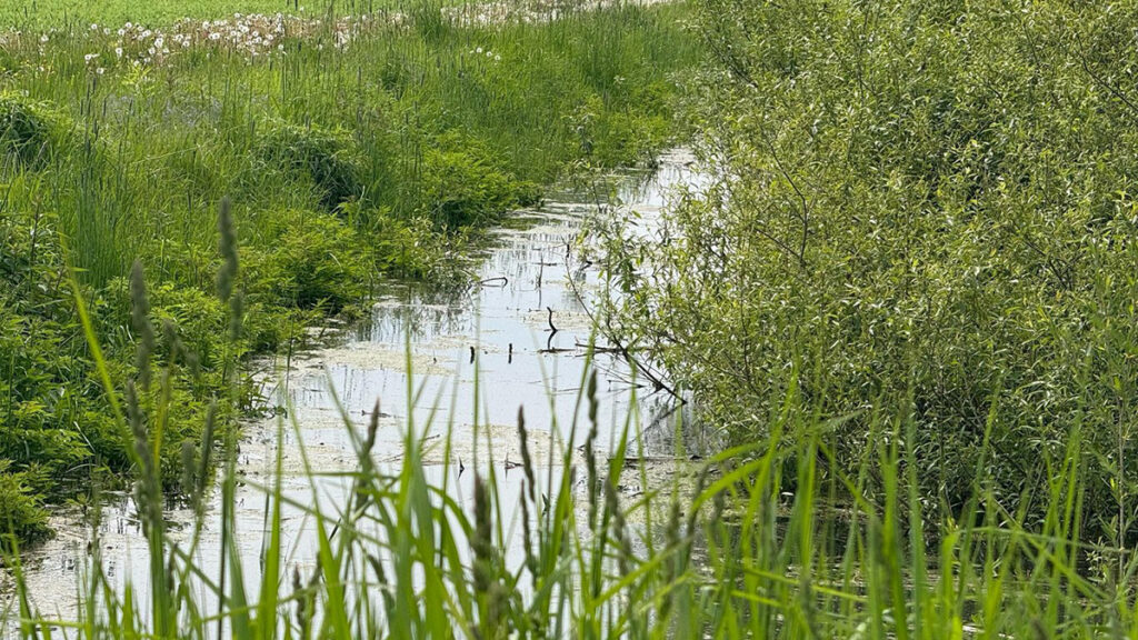 Läti valitsus kuulutas välja põllumajanduse eriolukorra