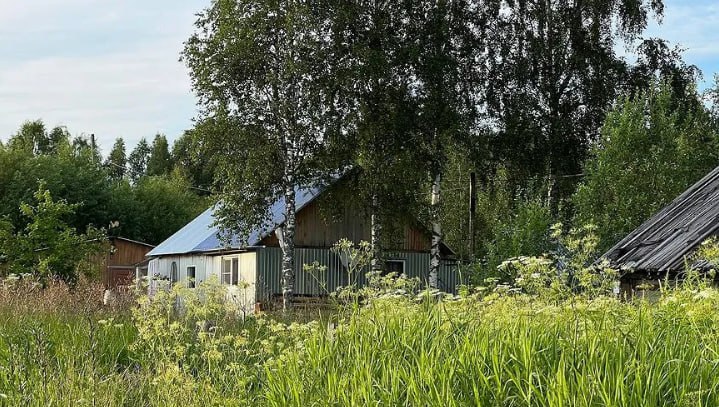 Venemaal hakatakse abielupaaridele tasuta krunte jagama