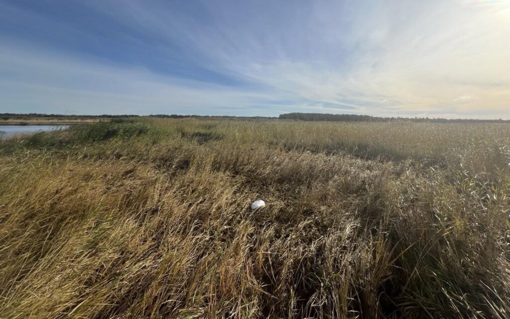 Eestist leiti drooni tükk