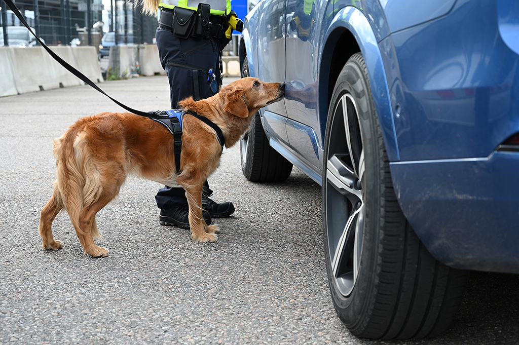 Soome toll avastas Helsingi sadamates üle 400 kilo Eestist pärit keelatud lihatooteid