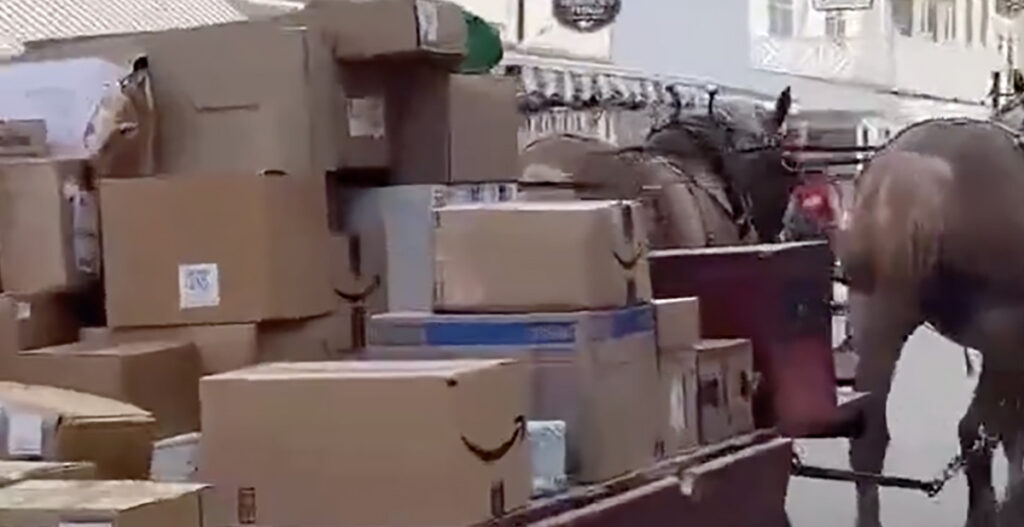 VIDEO: USA-s veetakse Amazoni pakke kohale hobustega