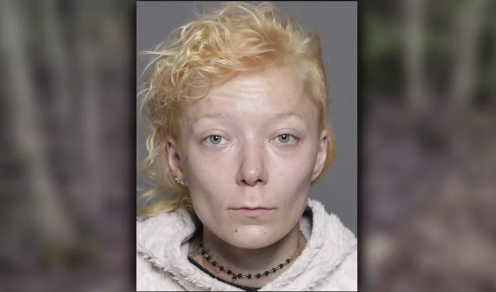 Soomes tapeti salapärasel kombel 31-aastane naine, politsei avaldas pildi ja nime