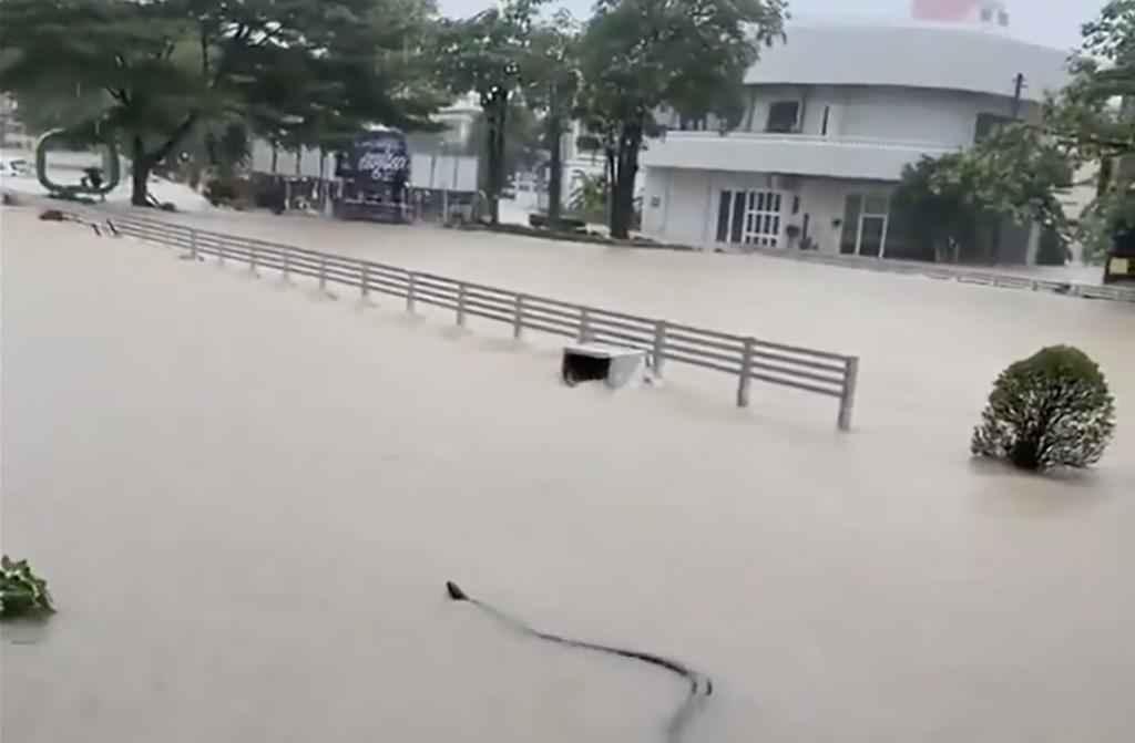 VIDEO: Tai üleujutused on toonud ussid linnatänavatele